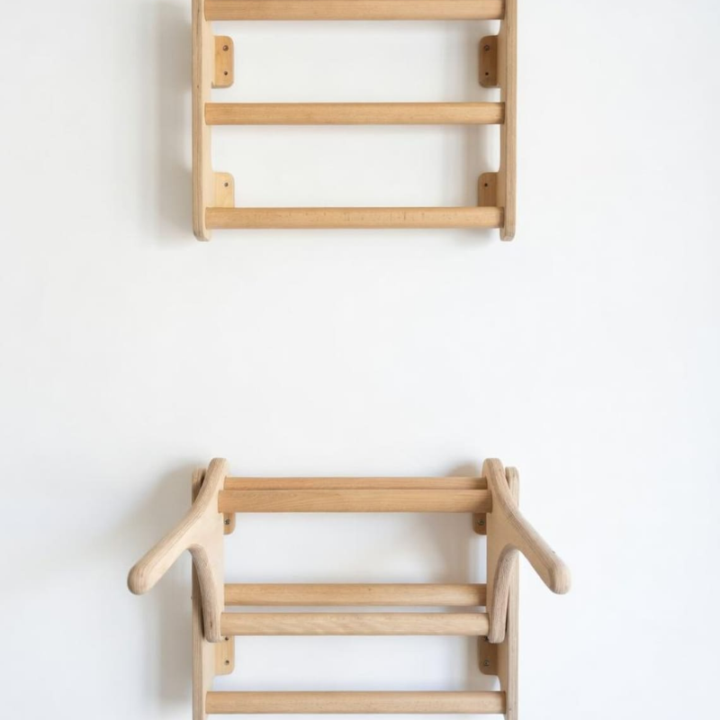 Aerzya Wall Dip & Pull-Up Station