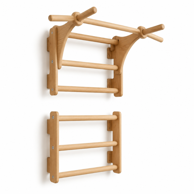Aerzya Wall Dip & Pull-Up Station